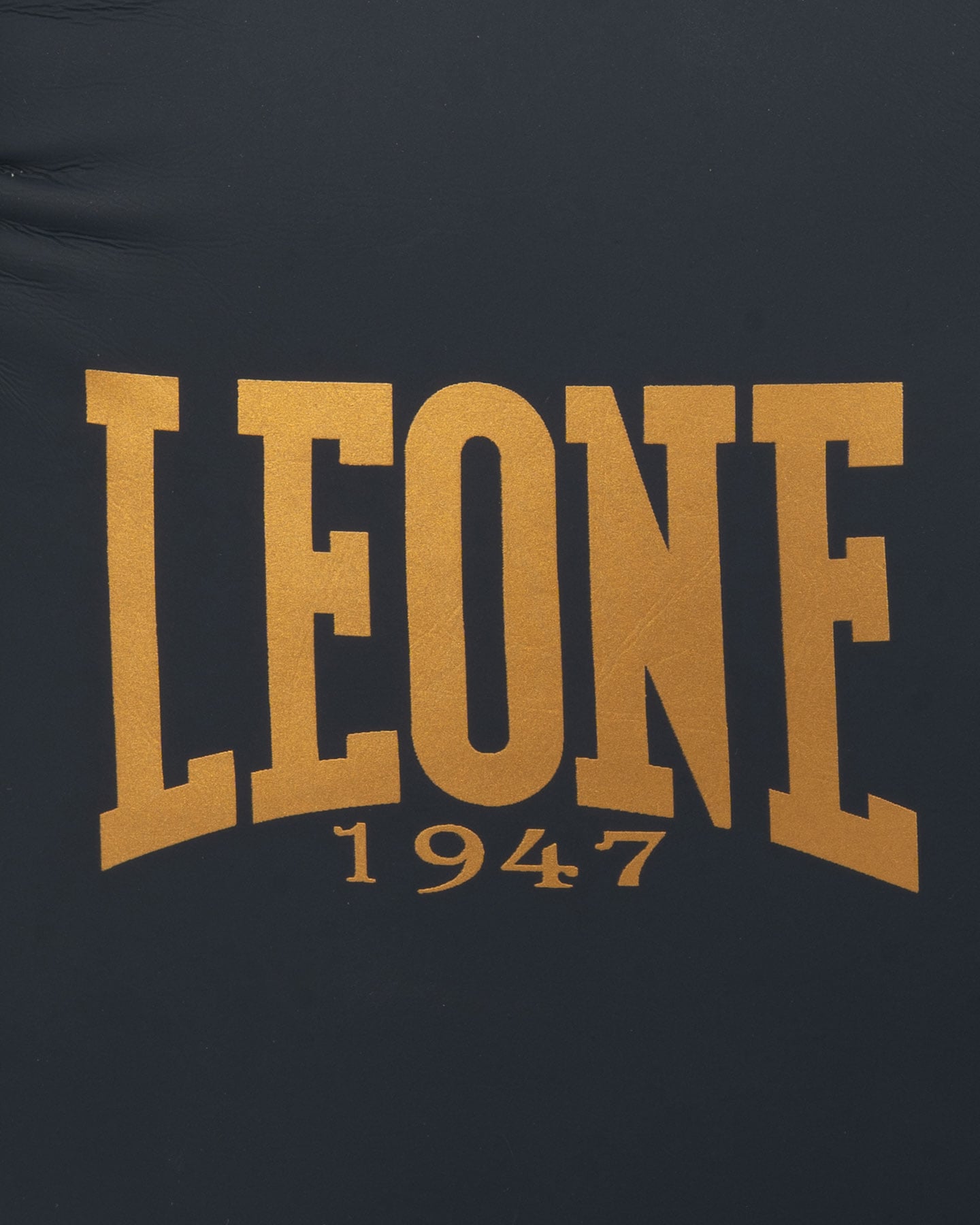 Guantoni boxe LEONE IDOL  - Blu - 3 | Cisalfa Sport