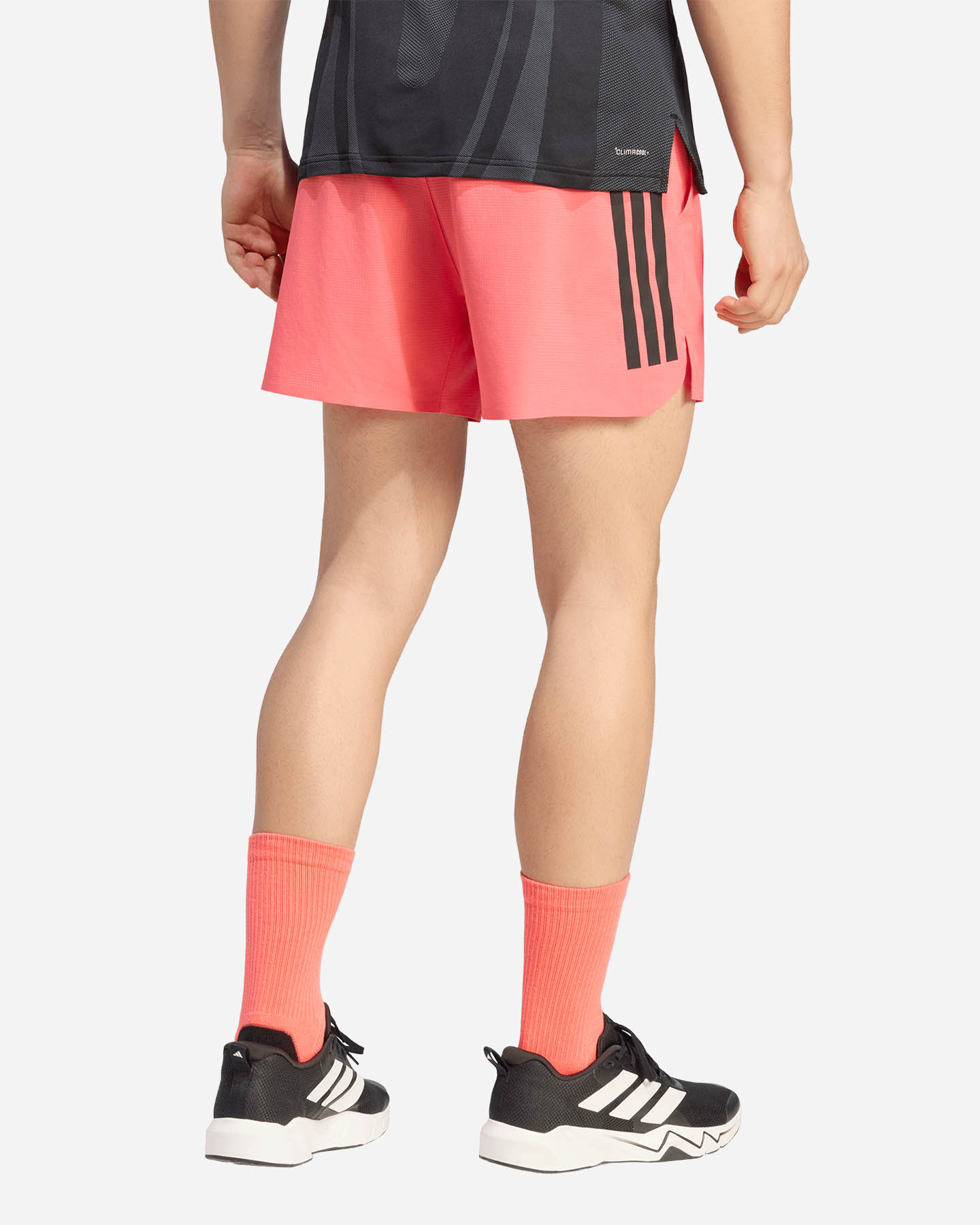 Pantalone training ADIDAS HYBRID ELITE M - Fucsia - 3 | Cisalfa Sport