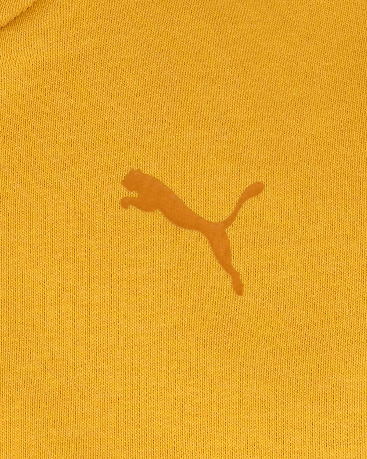 Felpa PUMA BASIC JR - Giallo - 2 | Cisalfa Sport