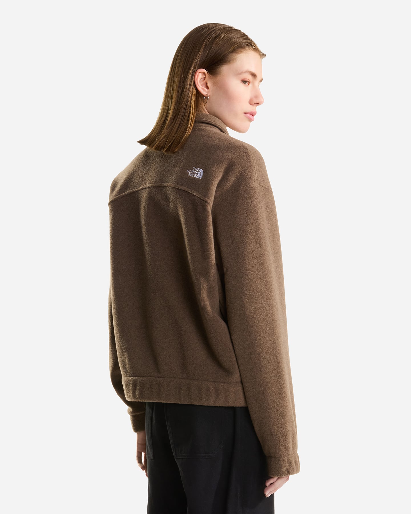 Pile THE NORTH FACE COLLARED W - Marrone - 2 | Cisalfa Sport