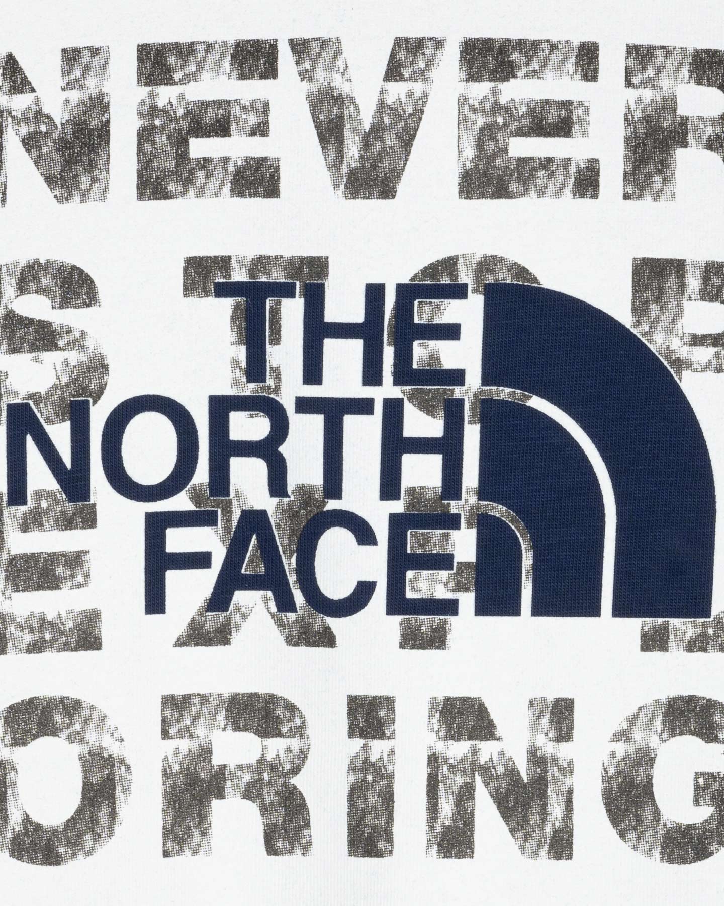 T-shirt THE NORTH FACE LOGO NSE BOX M - Blu - 2 | Cisalfa Sport