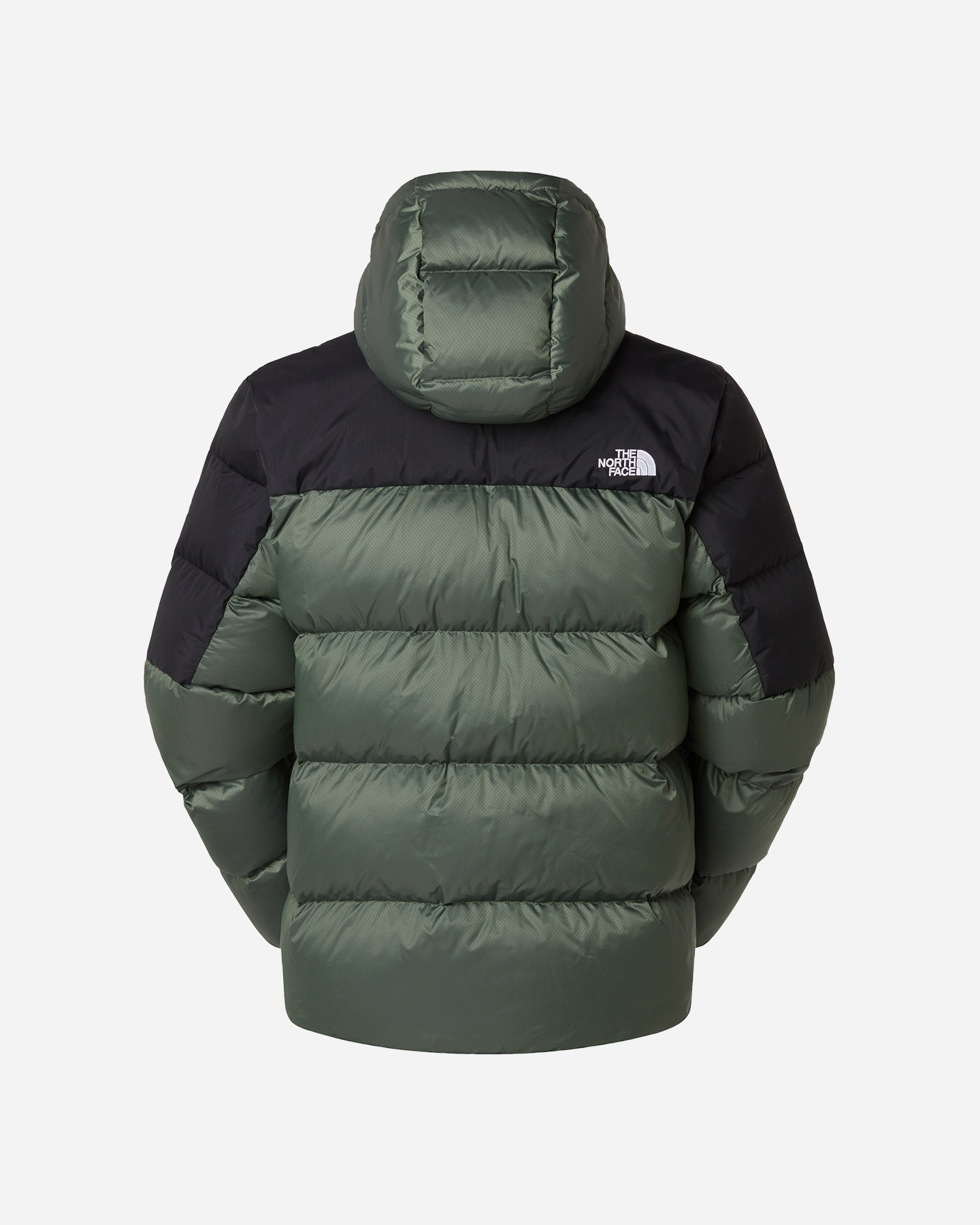 Piumino THE NORTH FACE DIABLO 2.0 M - Verde - 1 | Cisalfa Sport