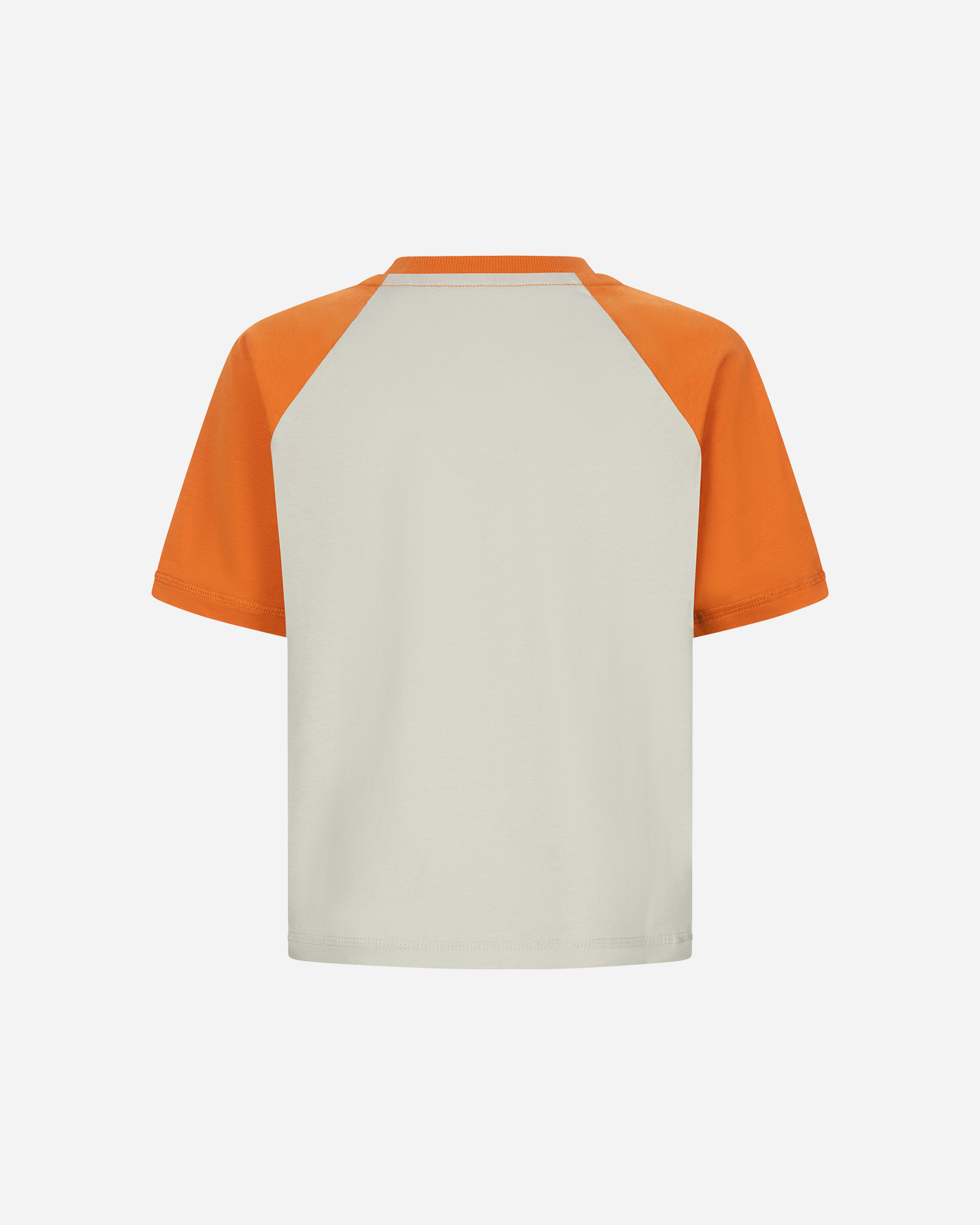 T-shirt BEAR WAVES AFTER WAVES JR - Beige - 1 | Cisalfa Sport