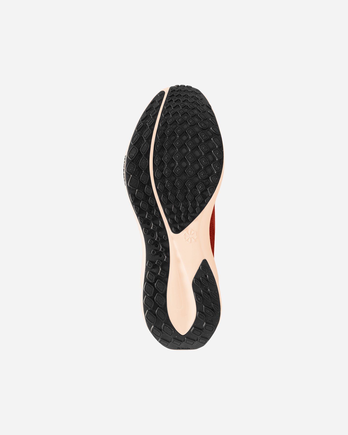 Scarpe running NIKE PEGASUS 41 LT M - Nero - 1 | Cisalfa Sport