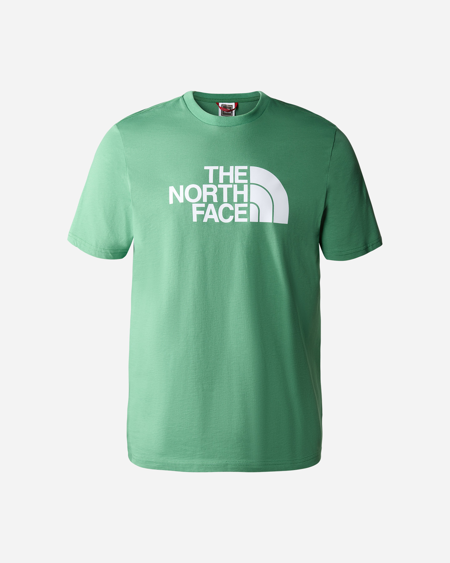 T-shirt THE NORTH FACE EASY BIG LOGO M - Verde - 0 | Cisalfa Sport