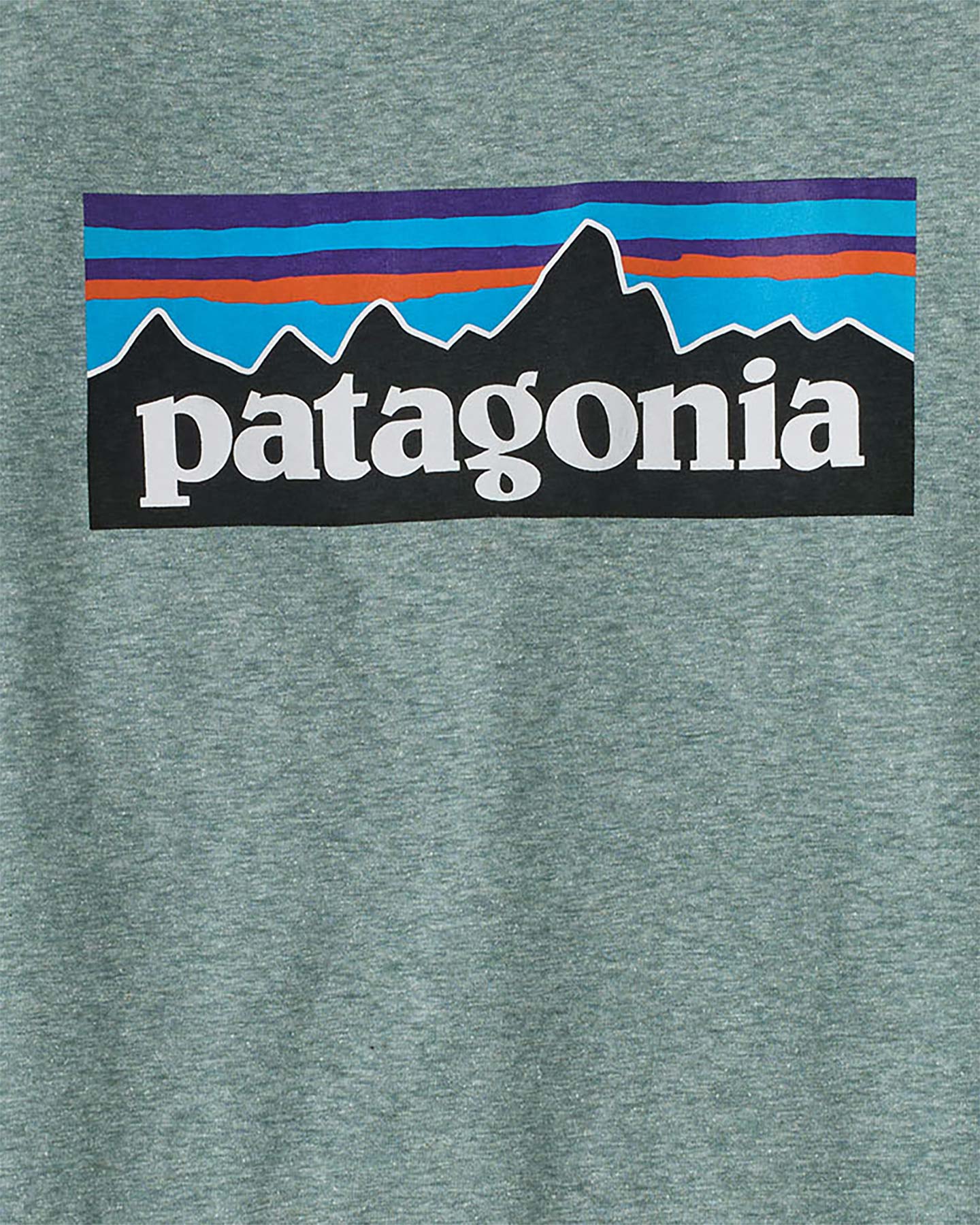 T-shirt PATAGONIA P-6 LOGO RESPONSIBILI-TEE W - Blu - 2 | Cisalfa Sport