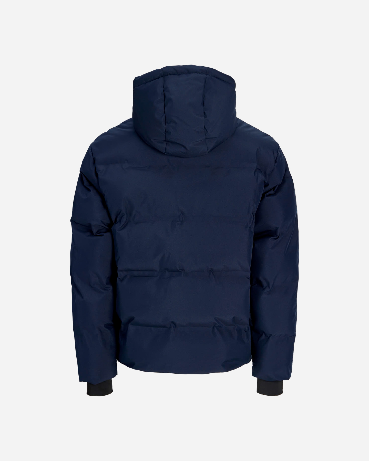 Giubbotto JACK & JONES TRACE M - 1 | Cisalfa Sport