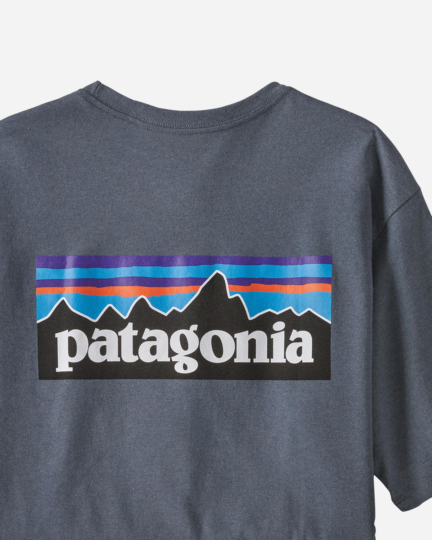T-shirt PATAGONIA P-6 LOGO M - 7 | Cisalfa Sport