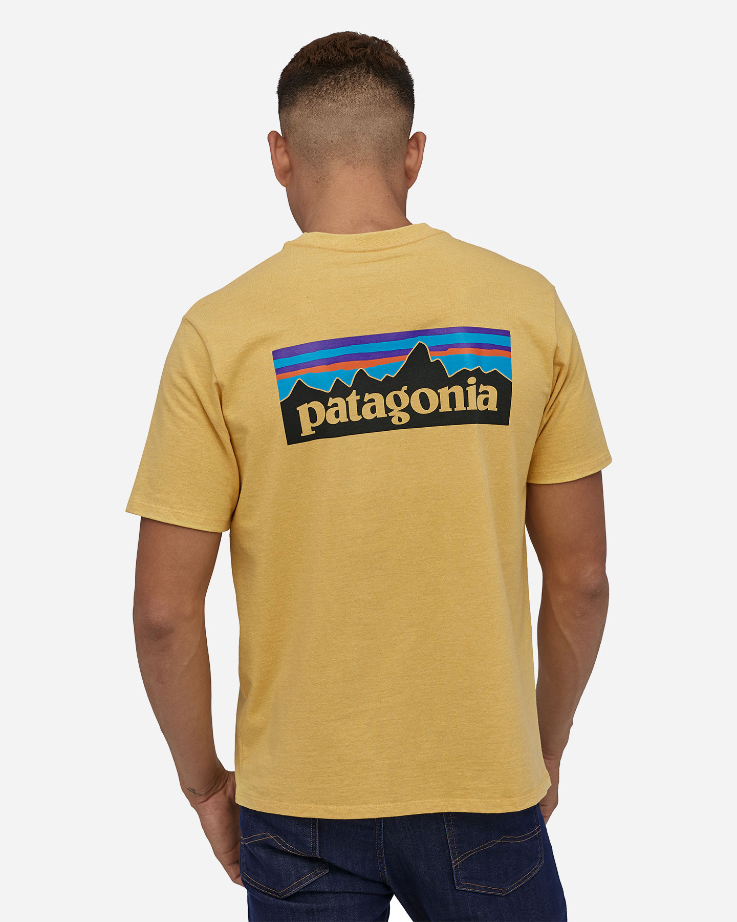 T-shirt PATAGONIA P-6 LOGO M - 12 | Cisalfa Sport