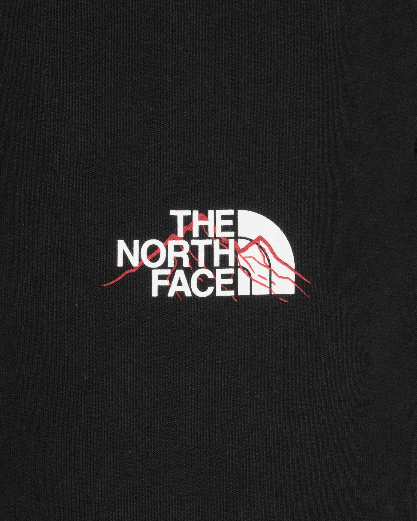 Pantalone THE NORTH FACE MOUNTAIN LINE M - Nero - 2 | Cisalfa Sport