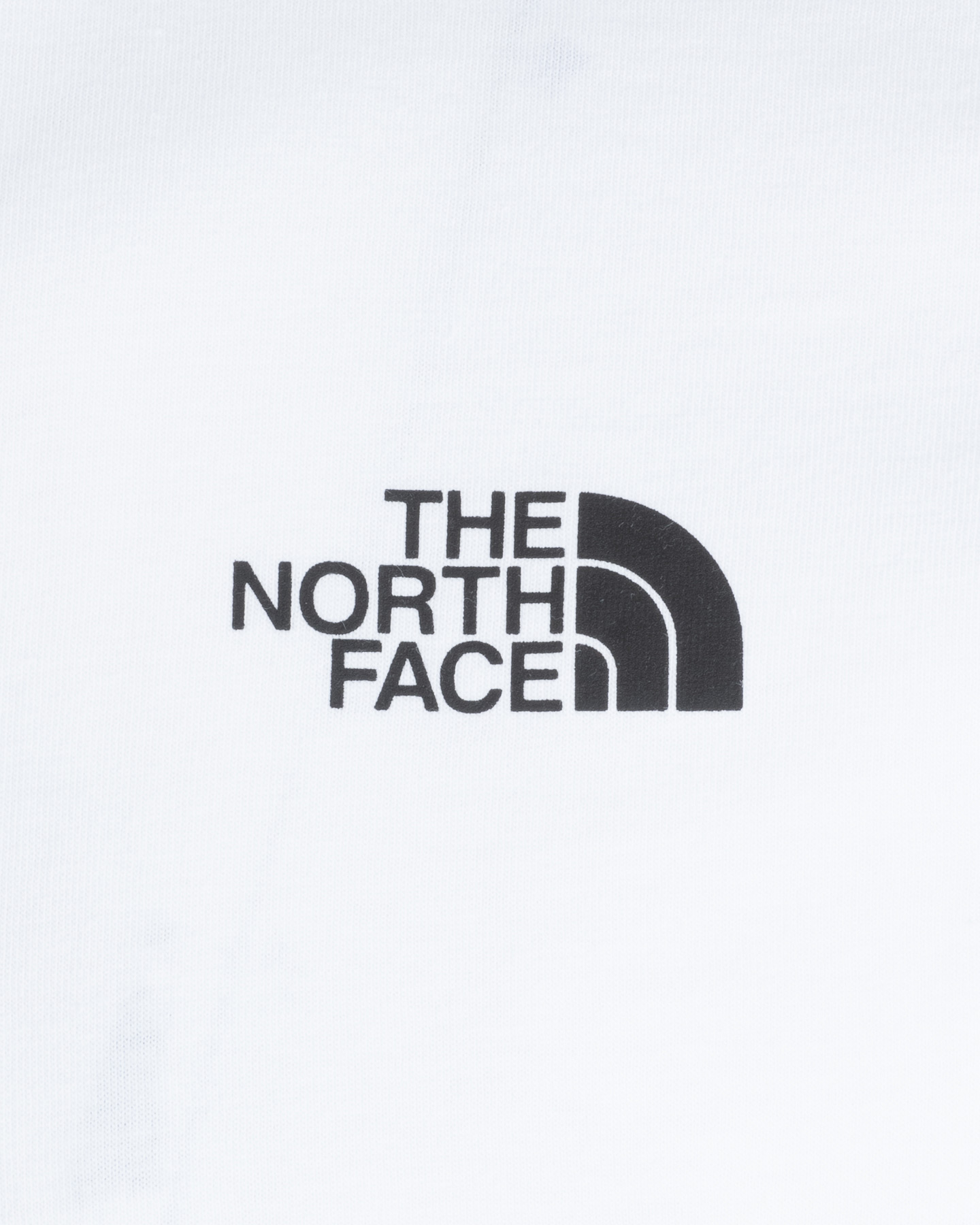 T-shirt THE NORTH FACE NEW ODLES M - Bianco - 2 | Cisalfa Sport