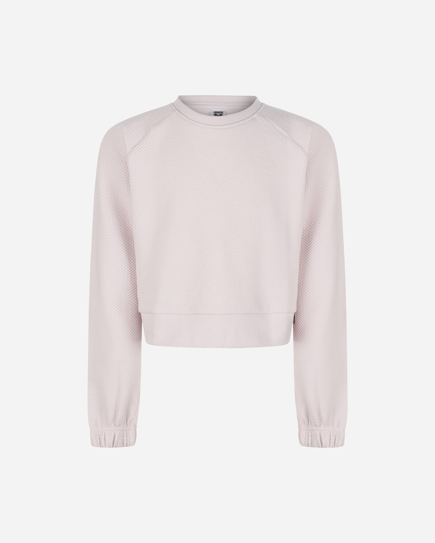 Felpa ARENA ATHLETIC PROGRESS JR - Lilla - 0 | Cisalfa Sport