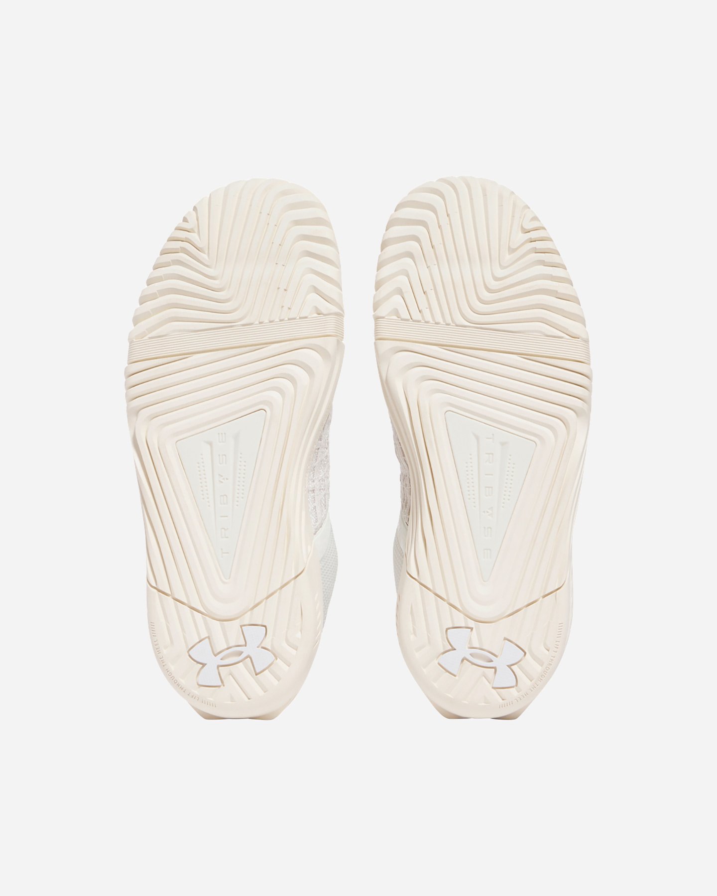 Scarpe training UNDER ARMOUR TRIBASE REIGN 6 W - 2 | Cisalfa Sport