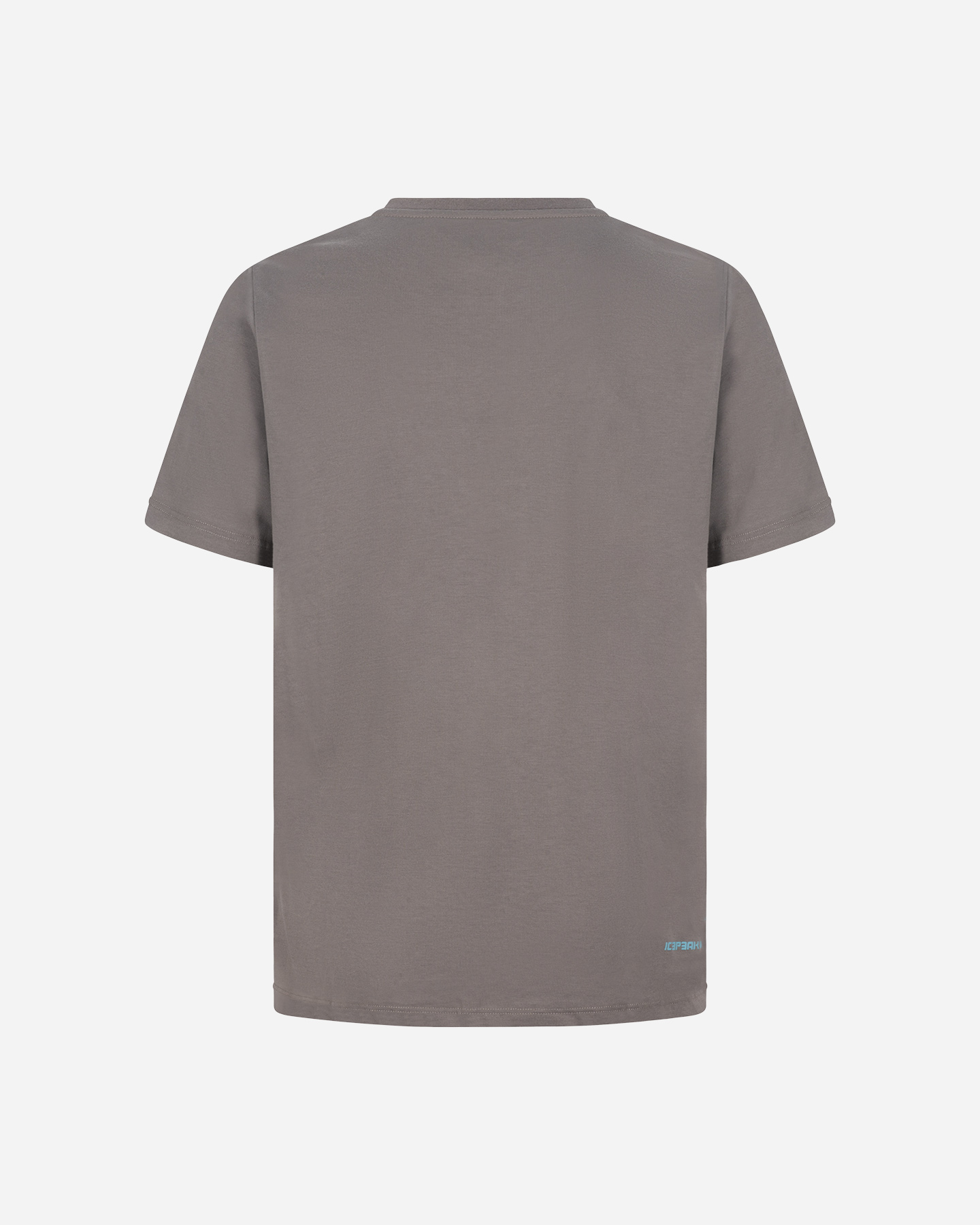 T-shirt ICEPEAK BEEVILLE M - Grigio - 1 | Cisalfa Sport