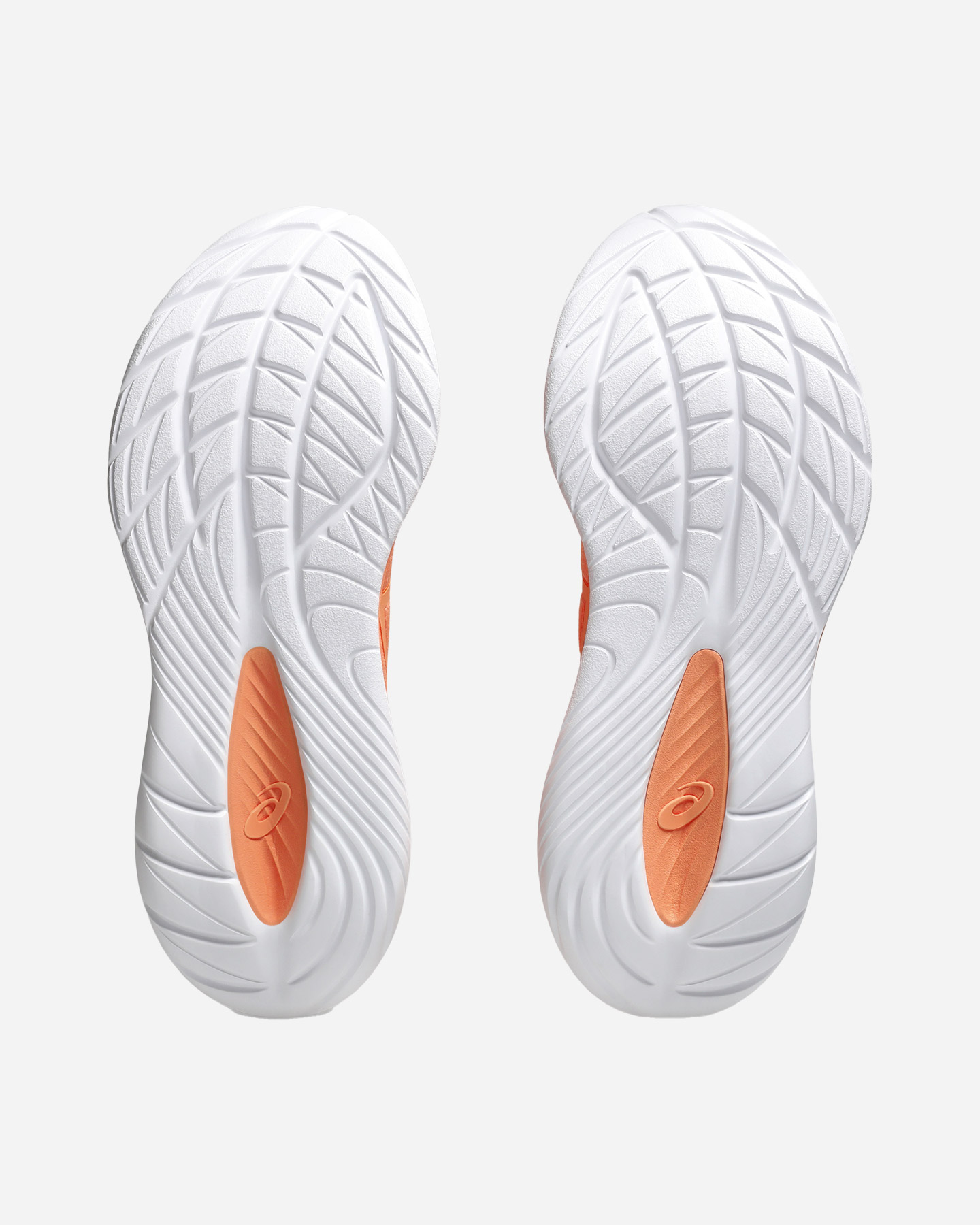 Scarpe running ASICS GEL CUMULUS 27 LITE-SHOW M - Nero - 2 | Cisalfa Sport