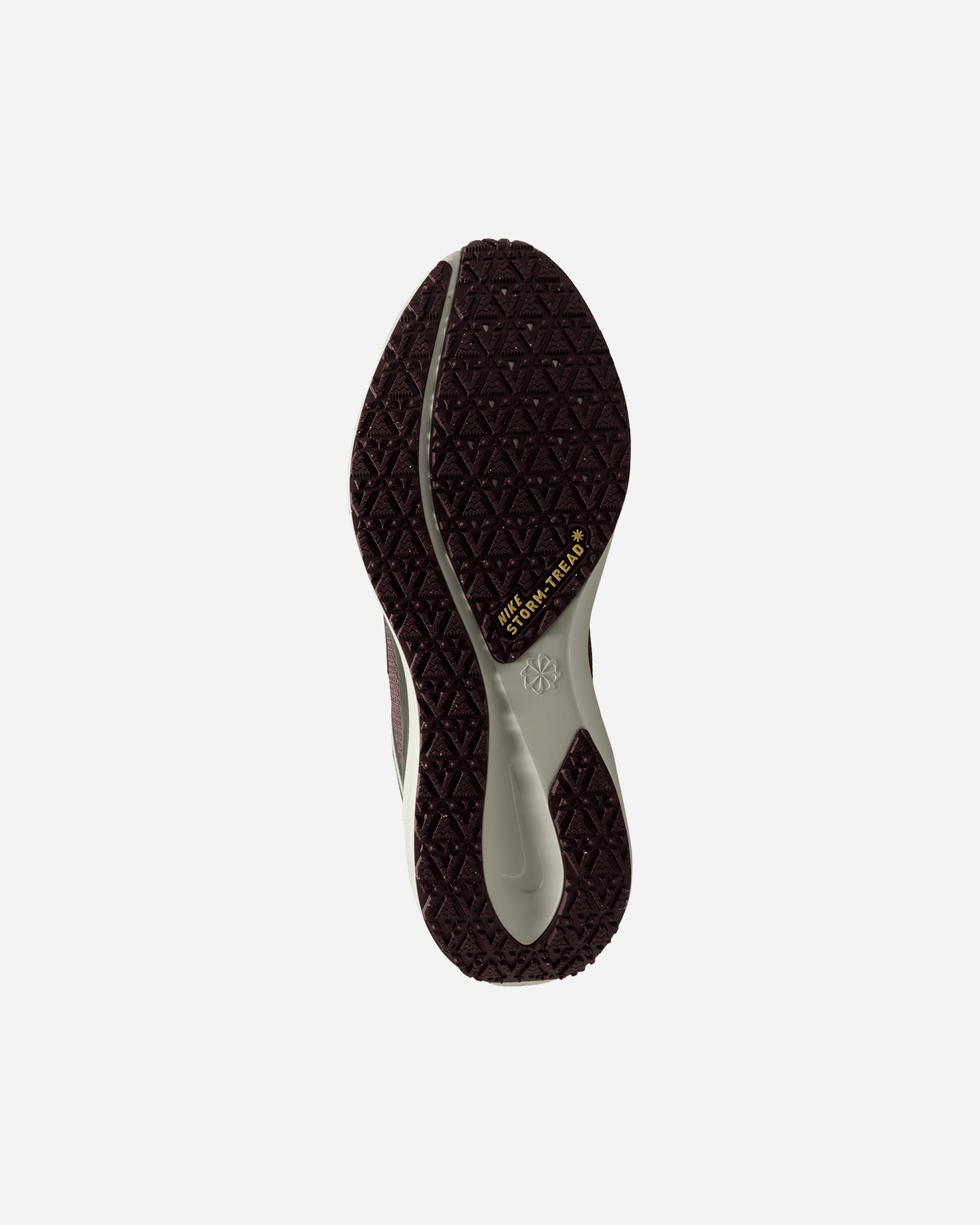 Scarpe running NIKE PEGASUS 41 GORE TEX M - Beige - 1 | Cisalfa Sport