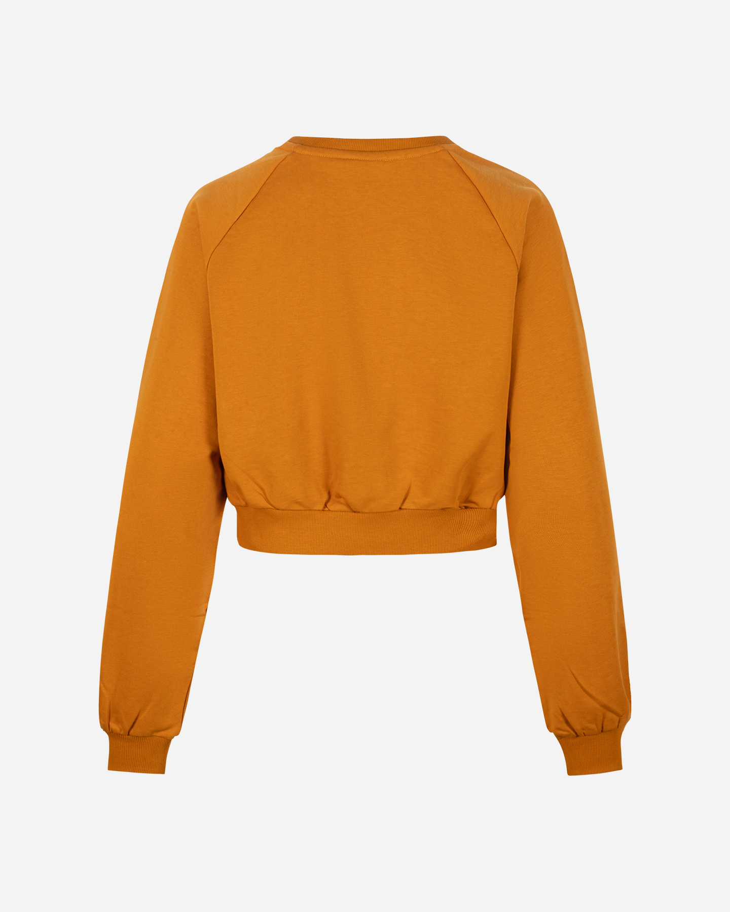 Felpa MIA M FUTURE LINE W - Beige - 1 | Cisalfa Sport