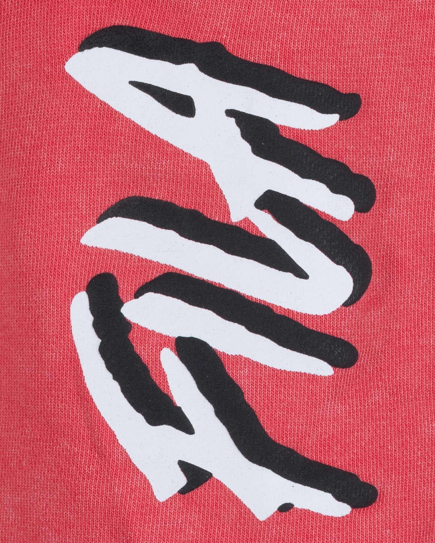 Bermuda FILA GRAPHIC PUNK JR - Rosso - 2 | Cisalfa Sport