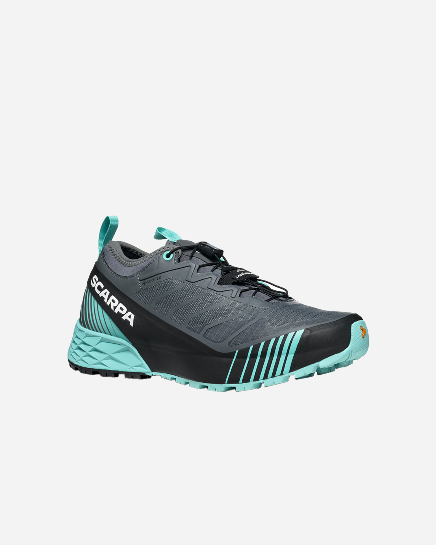 Scarpe trail SCARPA RIBELLE RUN GTX W - Grigio - 1 | Cisalfa Sport