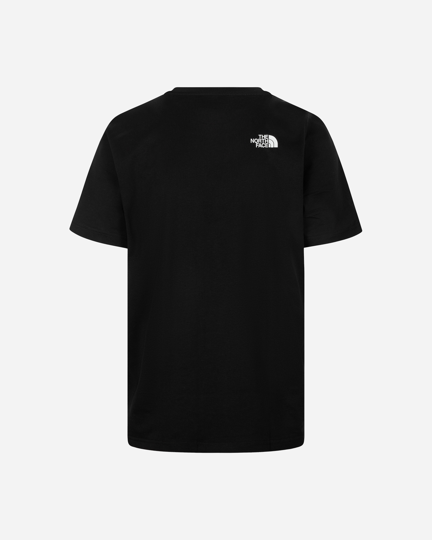 T-shirt The North Face Logo Nse Box M NF0A8DE8KY41 | Cisalfa