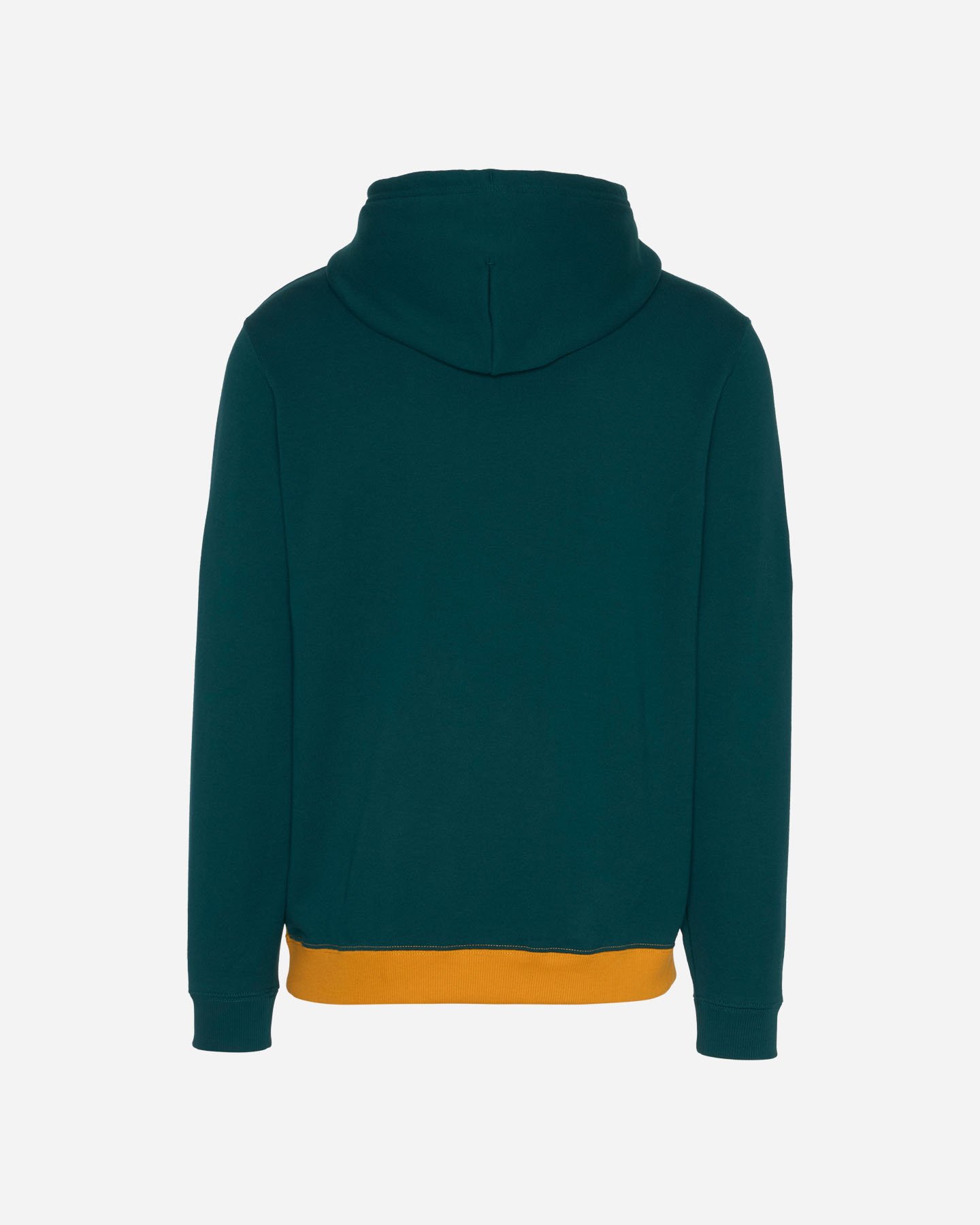 Felpa CONVERSE BAND M - Verde - 1 | Cisalfa Sport