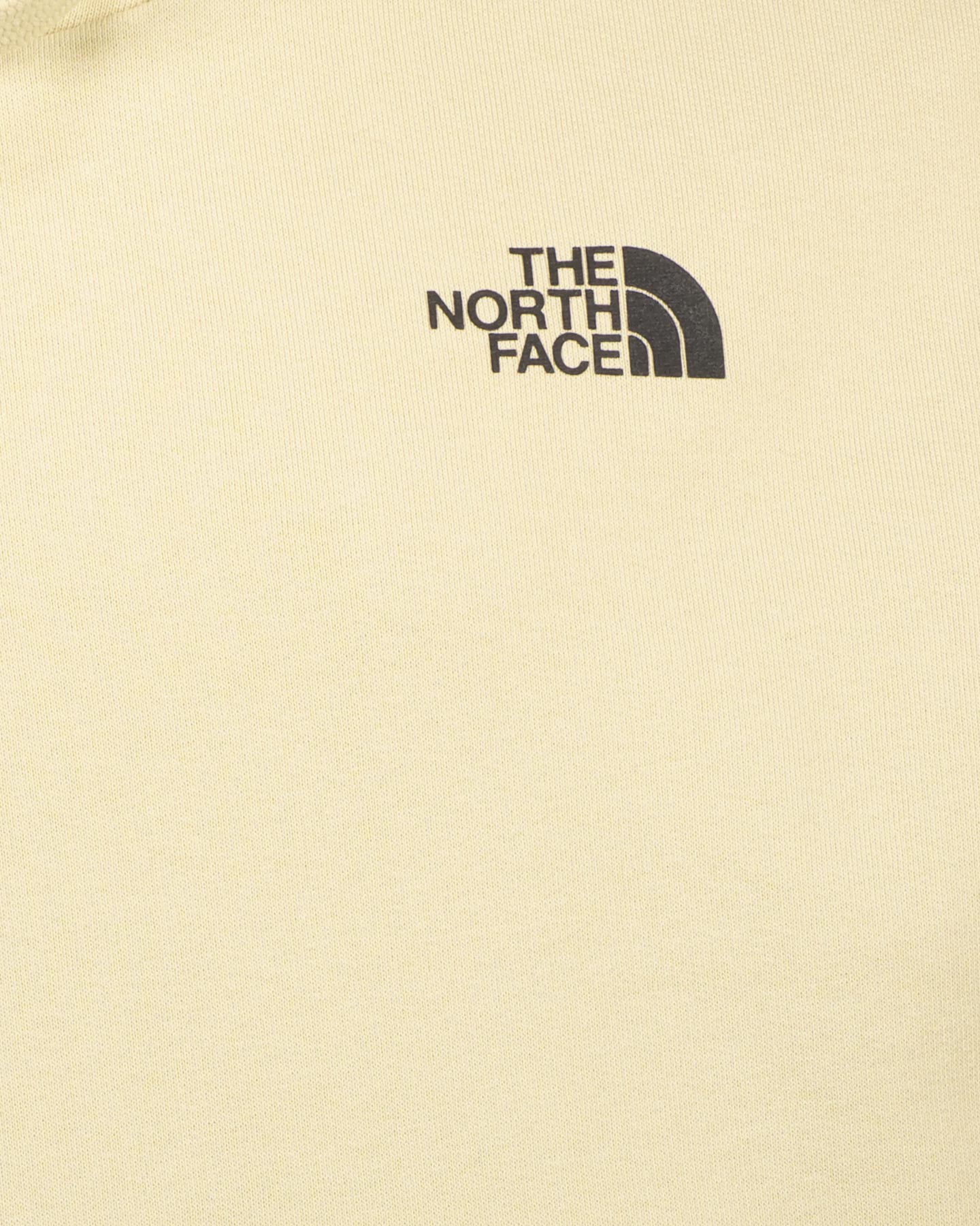 Felpa THE NORTH FACE GRAVEL BIG LOGO M - Beige - 2 | Cisalfa Sport