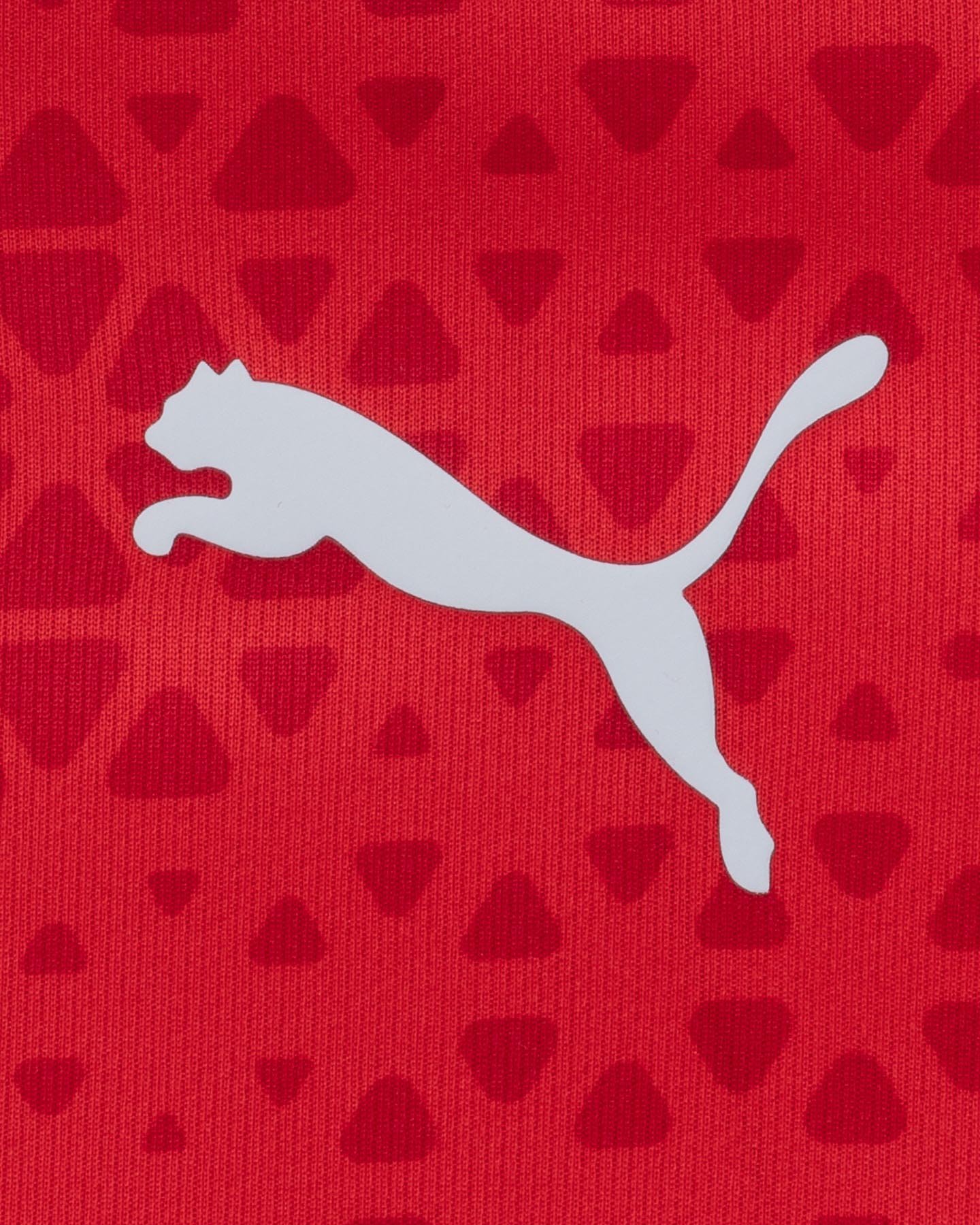 Abbigliamento calcio ufficiale PUMA MILAN TRAINING 23-24 M - Rosso - 2 | Cisalfa Sport