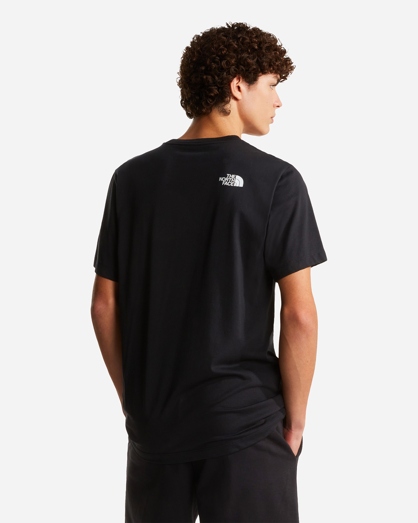 T-shirt THE NORTH FACE EVOLUTION BOX HALF DOME M - Nero - 4 | Cisalfa Sport