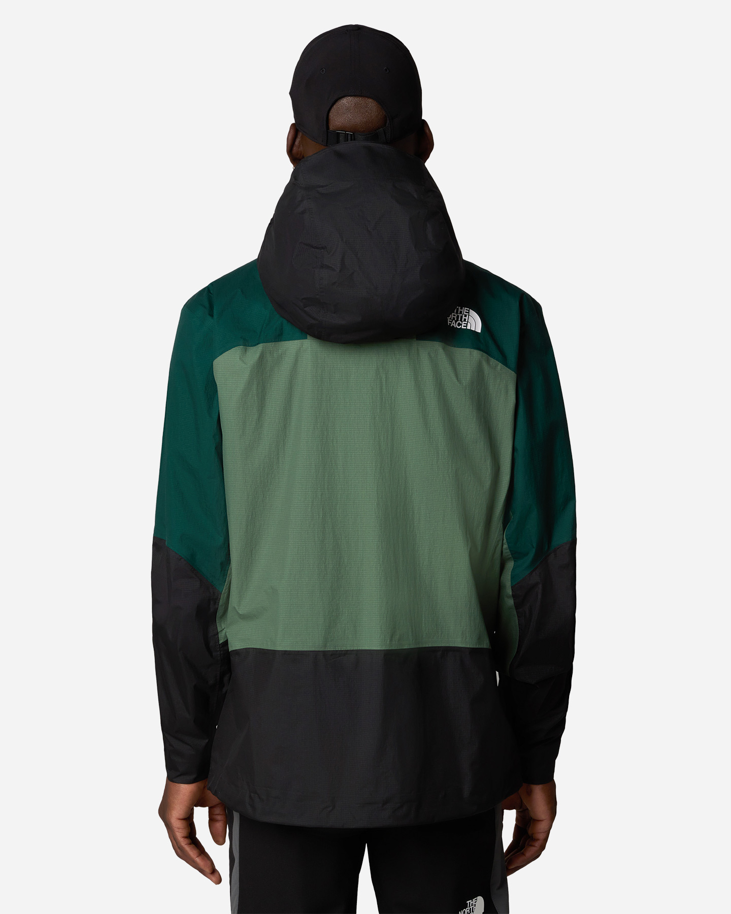 Giacca outdoor THE NORTH FACE SIGNAL 2.5L M - Verde - 3 | Cisalfa Sport