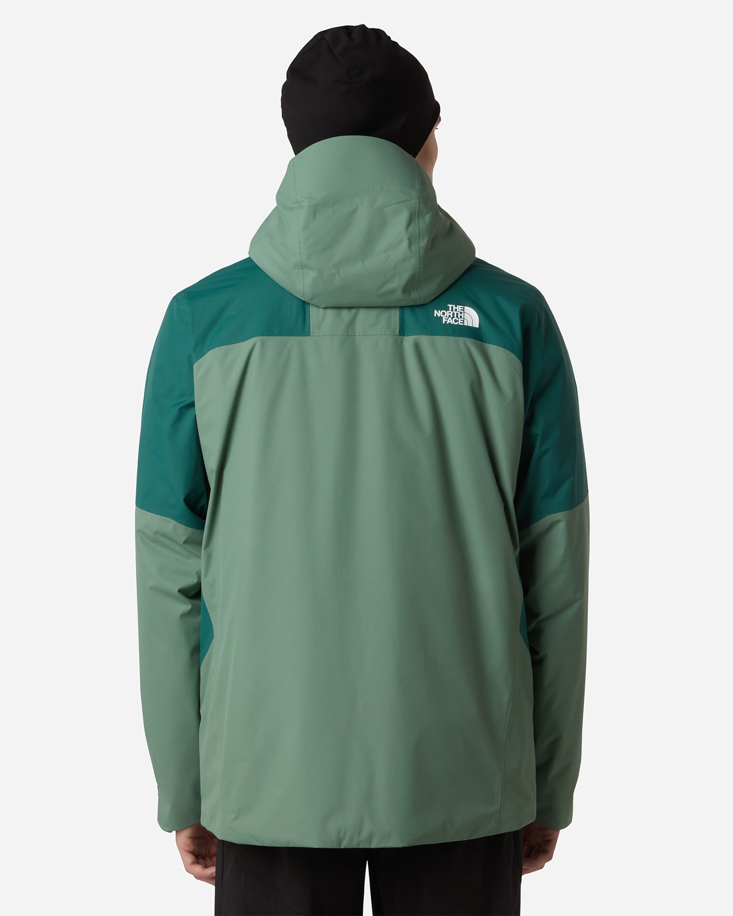 Giacca outdoor THE NORTH FACE ARSEN M - Verde - 4 | Cisalfa Sport