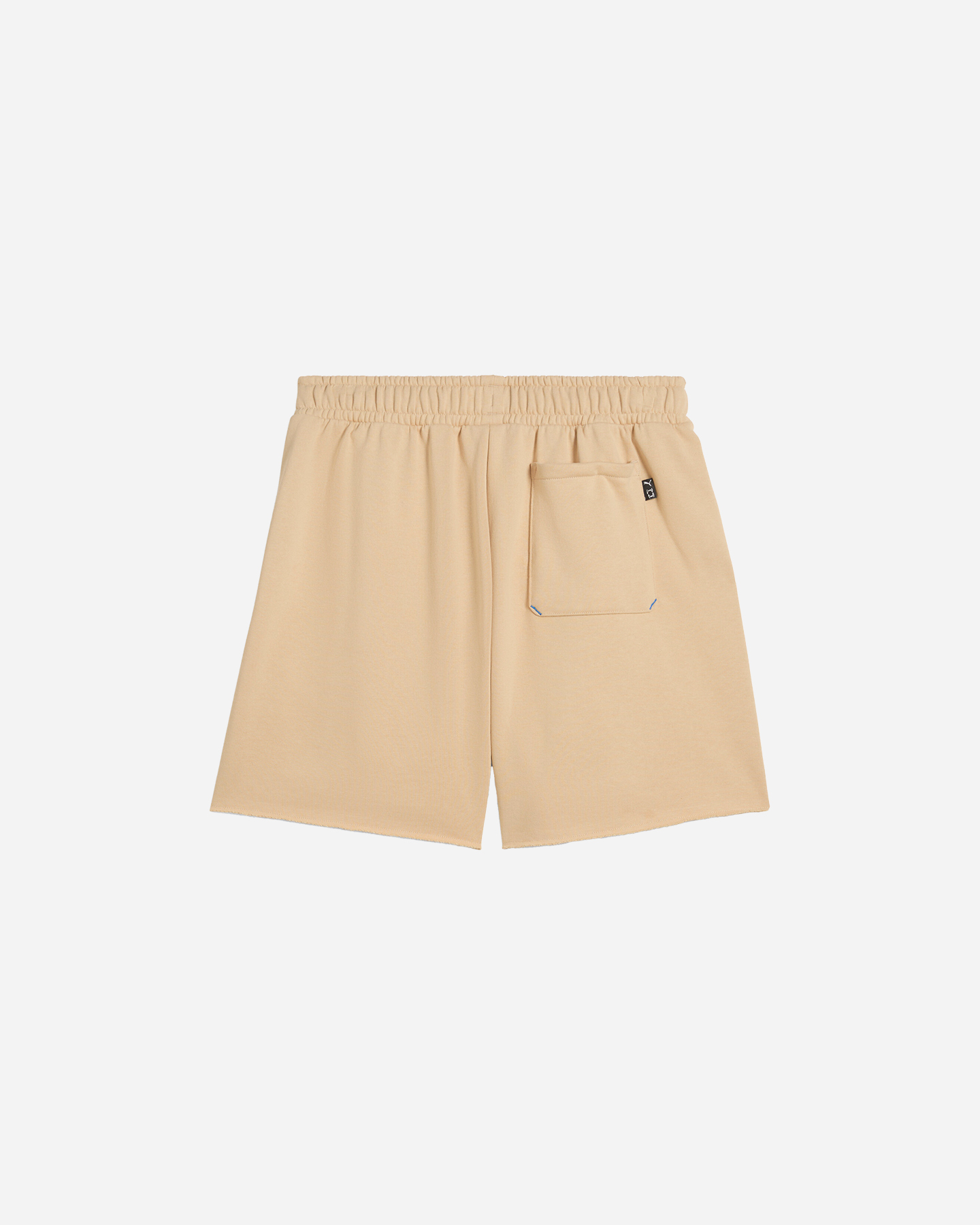 Pantaloncini PUMA ANCIENT ROARS PUFFPRINT M - Beige - 1 | Cisalfa Sport