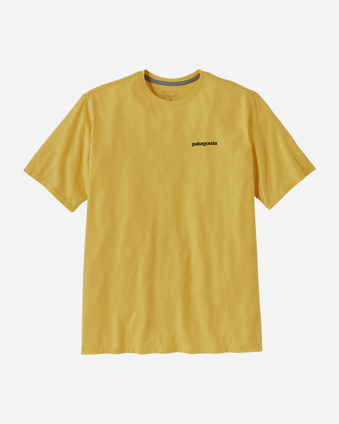 T-shirt PATAGONIA BIG LOGO M - 4 | Cisalfa Sport