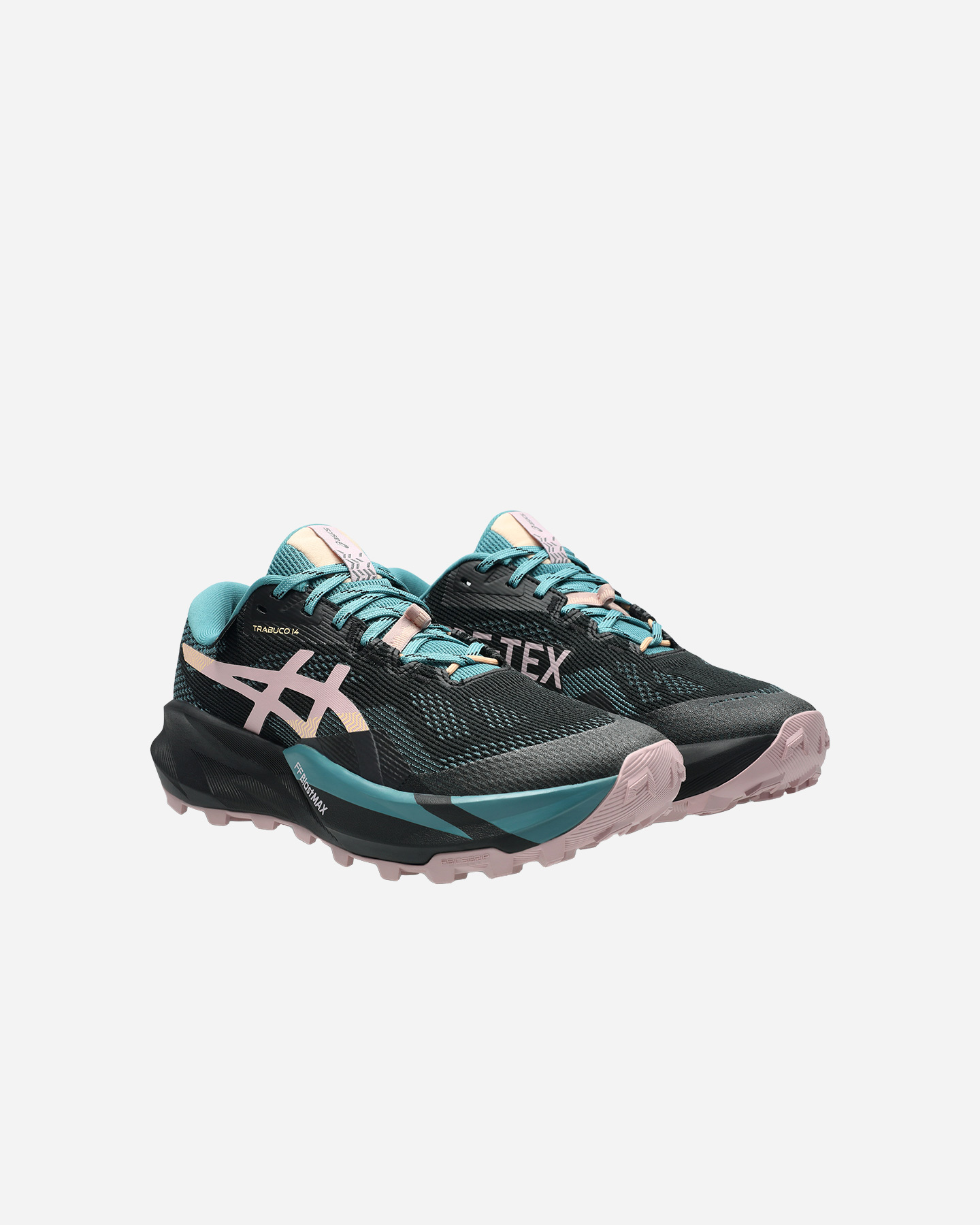 Scarpe trail ASICS TRABUCO 14 GTX W - Nero - 1 | Cisalfa Sport