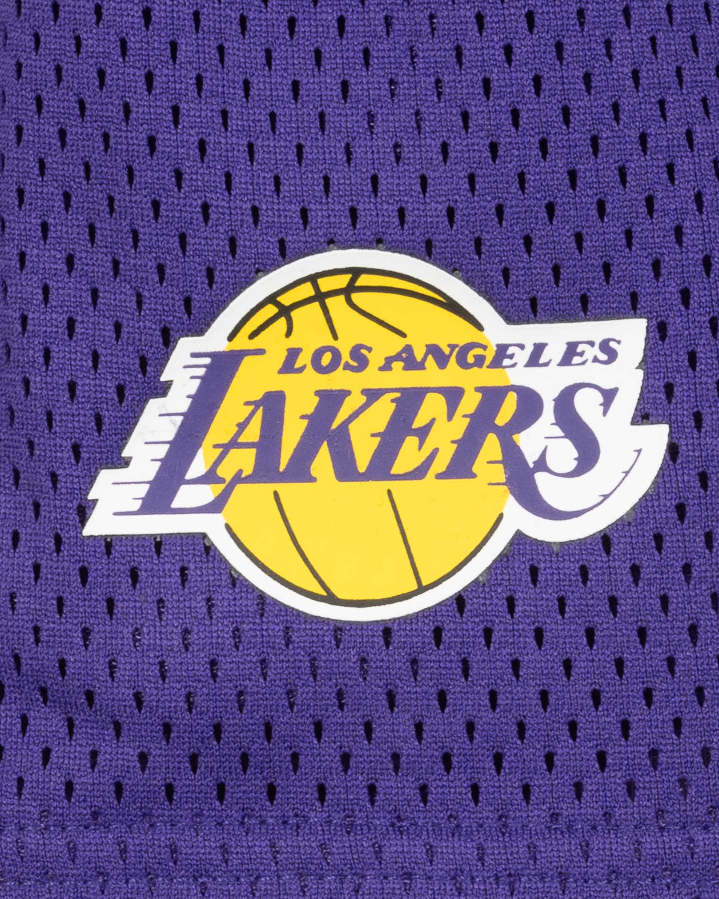 Abbigliamento basket NIKE DRI FIT PLAYER LAKERS JR - Viola - 2 | Cisalfa Sport