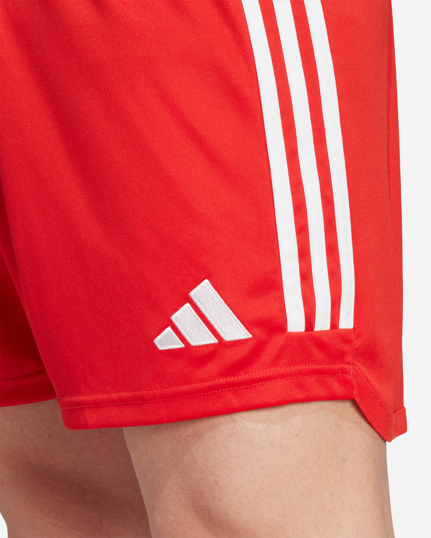 Pantaloncini calcio ufficiali ADIDAS BAYERN MONACO HOME 23-24 M - Color mix - 5 | Cisalfa Sport