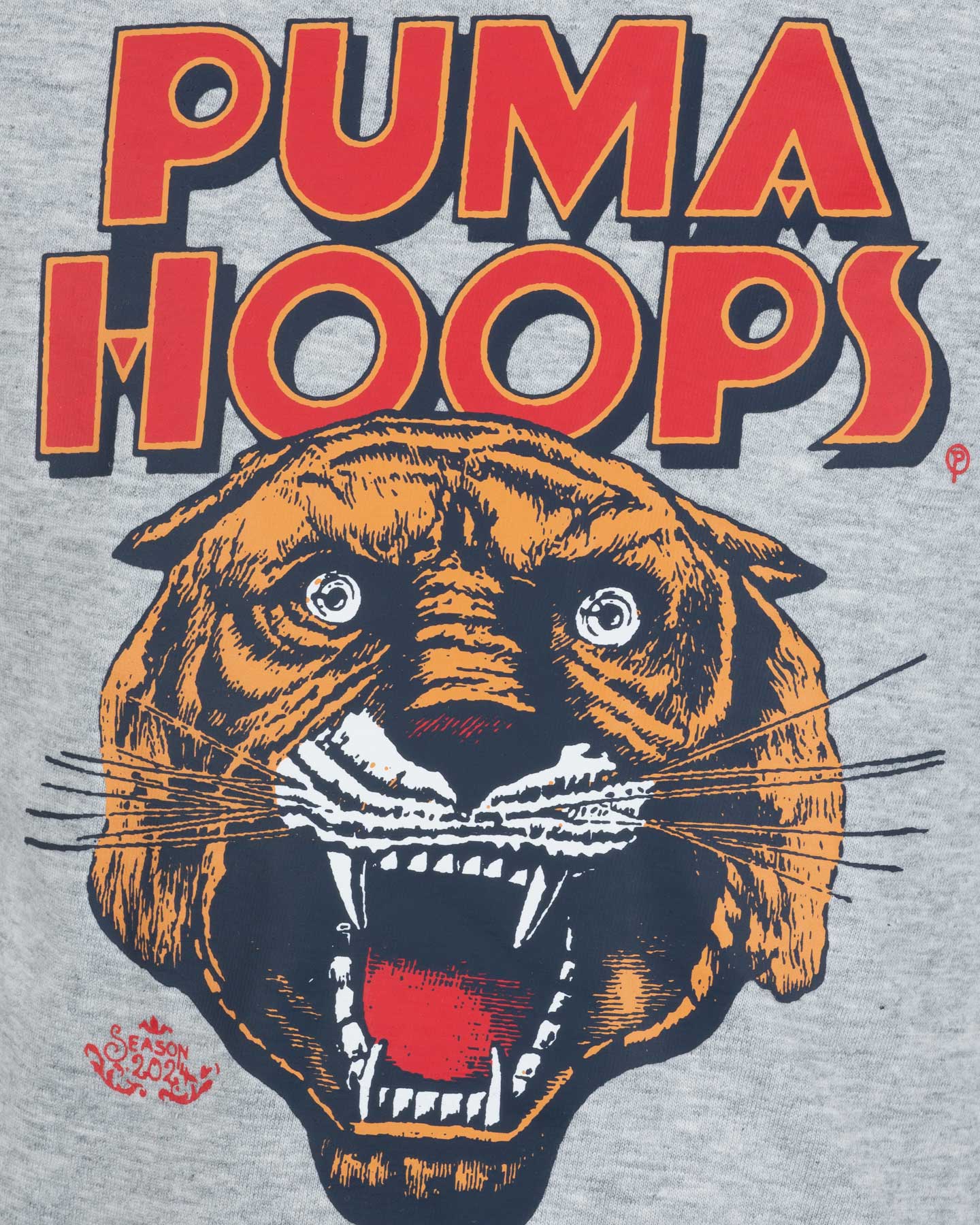 T-shirt PUMA BOY GRAPHIC CAT JR - Grigio - 2 | Cisalfa Sport