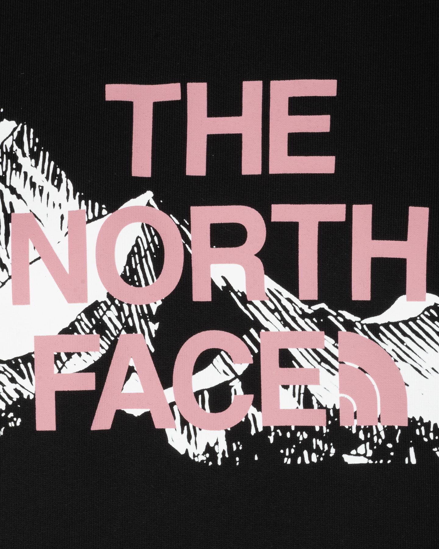 Felpa THE NORTH FACE LANDSCAPE W - 8 | Cisalfa Sport