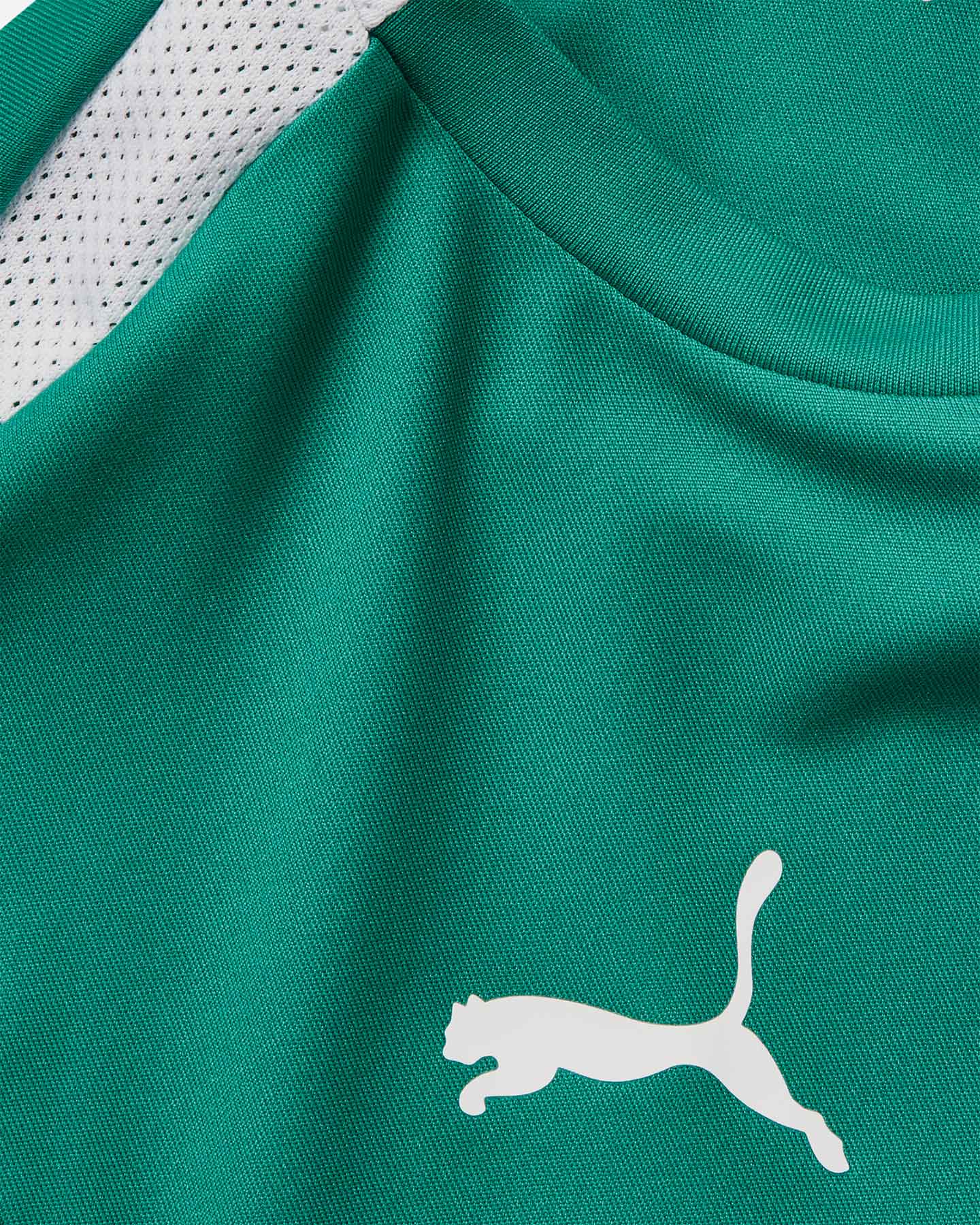 Maglia calcio PUMA TEAMLIGA MATCH JR - Verde - 2 | Cisalfa Sport