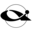 www.cisalfasport.it